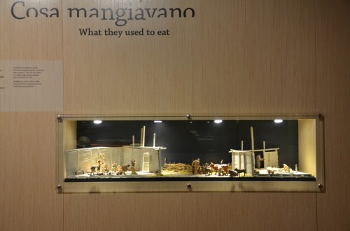 Museo delle Palafitte di Fiavé